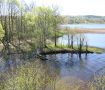 Utsikt fr�n f�geltorn