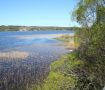 Utsikt fr�n f�geltorn
