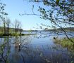 Viskan ut i �resj�