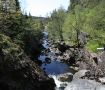 Dammluckor i Viskafors