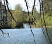Fall i Viskafors