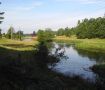 Viskan vid Tranhult naturreservat
