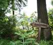 Liag�rde naturreservat och utsiktsplats
