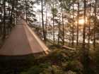 T�ltk�ta i solnedg�ng