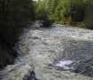 Viskan i h�gt vattenst�nd