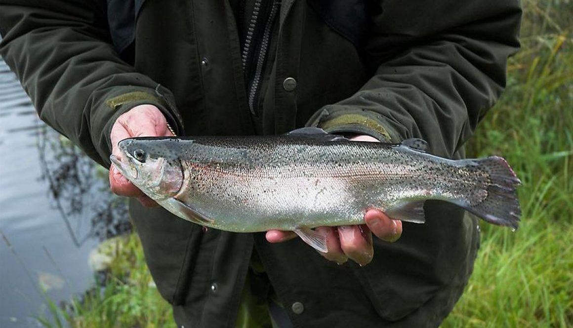 fishing